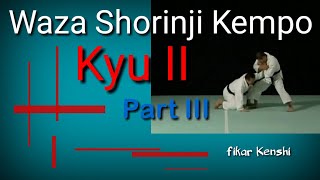 Shorinji Kempo Waza Technique  Kyu II Part 34 [upl. by Ceporah153]