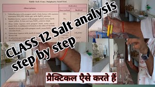 Class 12 Salt analysis  Class 12 qualitative analysis Class 12 practical [upl. by Nac]