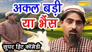 शेख चिल्ली की सुपर हिट कॉमेडी  अकल बड़ी या भैंस  Akal Badi Ya Bhens  New Comedy Darama [upl. by Emolas571]