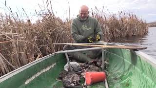 Trapping Inc TV 2020 Season 6 Episode 2 Fall Muskrats [upl. by Nadeau]