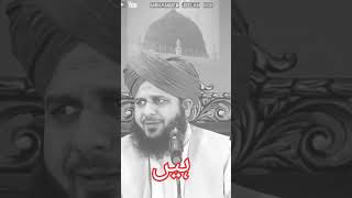 1 like for Palestine 🇵🇸 Very Emotional bayan by peer AJMAL raza qadri 🕋🇵🇸 [upl. by Dlareme477]