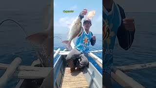 isdang blue seal fishingislife fishing seafood seafoodslover [upl. by Atiuqehs]