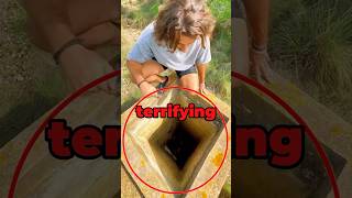 Animal Rescued From Sewer 😱 [upl. by Anaigroeg870]