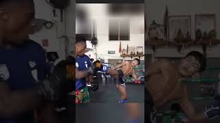 Speed challenged mauy thai fighter [upl. by Andee]