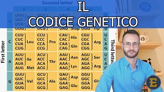 19 Il Codice genetico 4 minuti [upl. by Grof323]