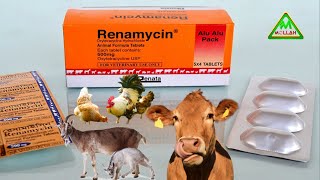 Renamycin vet tabletরেনামাইসিন ভেট ট্যাবলেট পশুপাখীর কি কি রোগ সারায় দেখুনmollah krishi tv [upl. by Aihselat722]