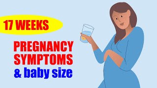 17 Weeks Pregnant Symptoms and Baby Moving – Baby Size in Womb [upl. by Aridan413]