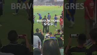 BRAVOS VS TIGRES [upl. by Gnouc]