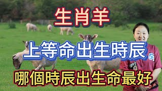 【生肖羊】生辰八字！生肖属羊人什么时辰出生是上等命？属羊人一生命运如何？本期视频讲述生肖属羊人！爱华 [upl. by Abraham]