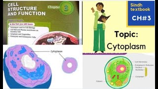 Cytoplasm l Cytosol l Cell structure and function l XI biology [upl. by Rohclem]