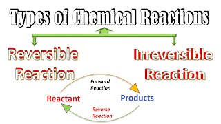 Reversible and Irreversible Reactions Chemistry  Chemical Reactions Types Chemical Equilibrium [upl. by Atsyrhc719]