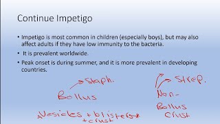 Common bacterial skin infections [upl. by Octavla898]