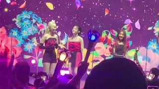 LOONA  Dancing on my own Dallas 20220825  Music Hall Fair Park [upl. by Coray]