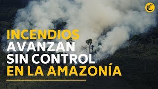 Arde la Amazonía incendios forestales avanzan sin control [upl. by Aenotna636]