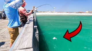 Jigging Pompano Off Florida Fishing Piers [upl. by Ettenej]