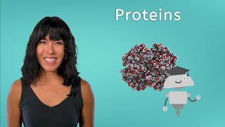 Proteins  Biology for Teens [upl. by Banebrudge]