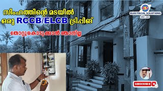 സിംഹത്തിന്റെ മടയിൽ ഒരു RCCB ELCB ട്രിപ്പിങ് [upl. by Geer135]