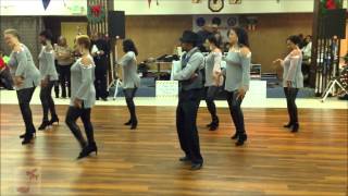 LDC Dancer performs Dance To GoGo  The Baltimore Throwdown Line Dance 12812 [upl. by Astrahan]