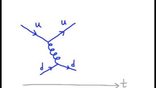 12feynman diagrams [upl. by Yarod]