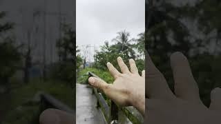 DESCUBRE un cementerio ESCONDIDO en la SELVA de Colombia [upl. by Assilym]