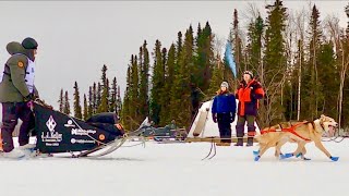 Iditarod 2024 Tailgating at Mile 5 [upl. by Mehelhteb]