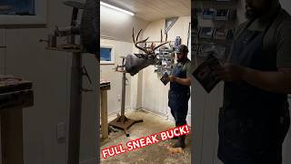 Spring time Taxidermy in the shop taxidermy bigbuck motivation homestead spring fun doit [upl. by Debora]