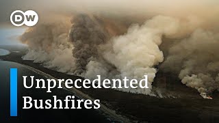 Australia bushfires  a national catastrophe  DW News [upl. by Fortunio]