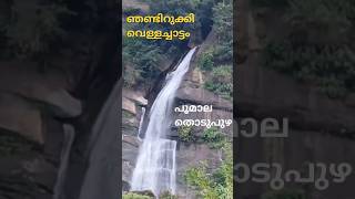 Njandirukki watter falls thodupuzhashorts malayalamtravelvlog viralvideo [upl. by Salohcin513]