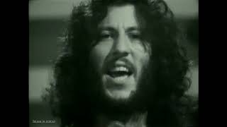 Peter Greens Fleetwood Mac Live 196870 [upl. by Flam]