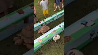 Rabbit and tortoise storyఎవరుగెలిచారుfunny practical storyreal shots [upl. by Jethro]