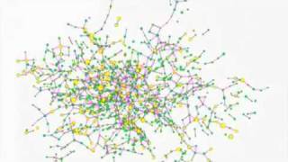 The Spread of Obesity in Social Networks [upl. by Kristofer986]