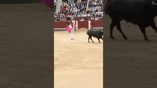 😮Qué categoría tiene Daganzo 😮 toros torosbravos recortes bull torobravo arte animals españa [upl. by Bornstein]