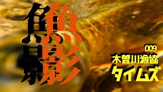 過去一釣れすぎて数えるのをヤメました。木曽川水系 渓流釣り【木曽川漁協タイムズ vol9】 [upl. by Elery2]