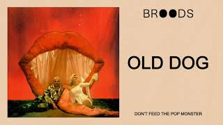 BROODS  Old Dog Official Audio [upl. by Annavoeg]