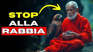 La GUIDA BUDDHISTA Per Eliminare La RABBIA Dalla Tua VITA [upl. by Ban]