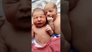 Cutest Twin Newborn Babies Amazing Birthday Moments AfterBirth [upl. by Lon757]