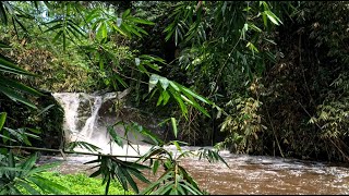 WASPADA Detikdetik Bandang di Curug Dawuhan dalam waktu sangat Cepat [upl. by Serafine]