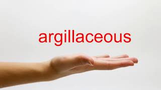 How to Pronounce argillaceous  American English [upl. by Nalym]