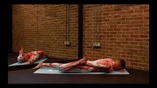 Vastus Lateralis THIGH Stretch for All laying – iStretch [upl. by Modeste]