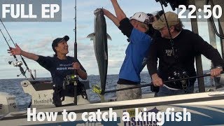 HOW TO CATCH A KINGFISH [upl. by Lasko]