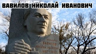 Вавилов Николай Иванович [upl. by Ronal]