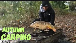 LAST CARP SESSION OF AUTUMN carpfishing [upl. by Eniamret471]