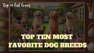 Top 10 Most Loved Dog Breeds in the World 2024 [upl. by Enamart]