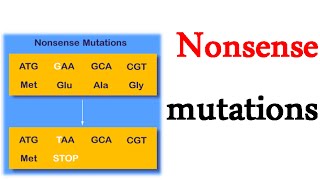 Nonsense mutations [upl. by Amie416]