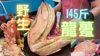 145斤極肥野生龍躉😱怪獸級巨肥肝肉質鬆化，油脂超香🤤Monster Giant Grouper cutting skills fishcutting海鮮社長遊街市Seafood [upl. by Noivaz]