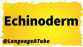 Echinoderm Pronunciation ⚡️ How To Pronounce Echinoderm [upl. by Addy]