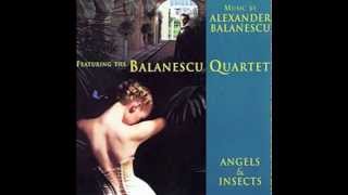 Alexander Balanescu  Balanescu Quartet  Flying Ants [upl. by Madelene]