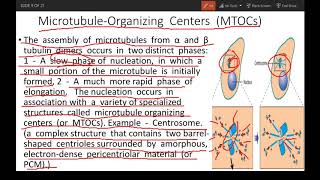 Cytoskeleton part 1 Microtubules polymerization functions MTOC motor proteins [upl. by Eilyak959]