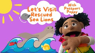 Sea Lion Rescue Visit  Mammal Videos for Kids With Passport Poppy [upl. by Aisyat]