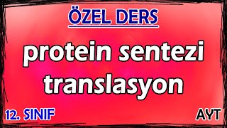 5 Protein Sentezi  Translasyon  Özel Ders 12 Sınıf [upl. by Hallock]